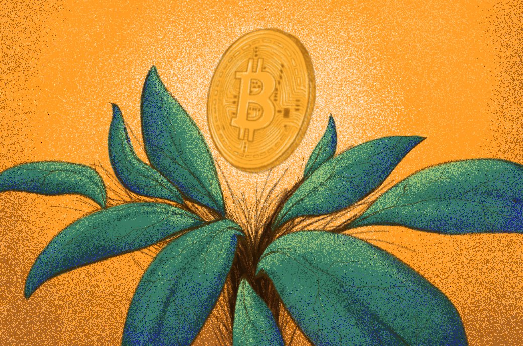 Chainalysis Raises $30 Million in Series B Funding From Accel Ventures