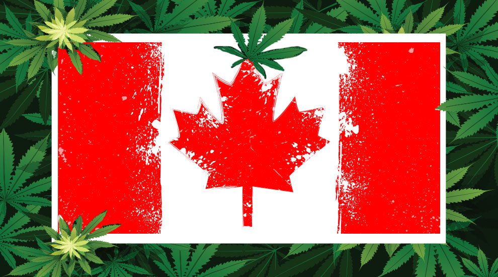 Canadian Blockchain Company Sees Opportunity in Newly Legalized Cannabis