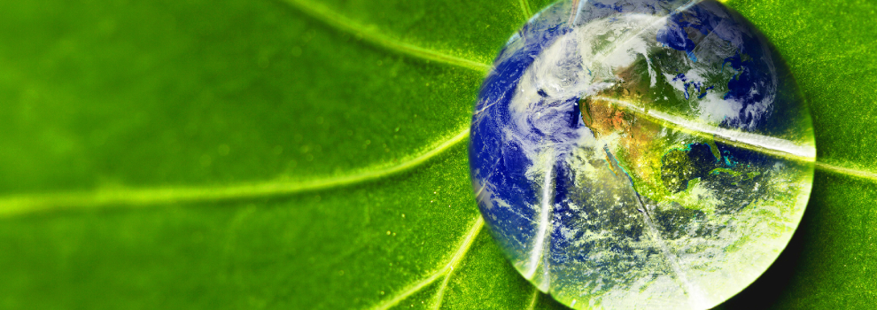 Bitcoin the Environmentalist