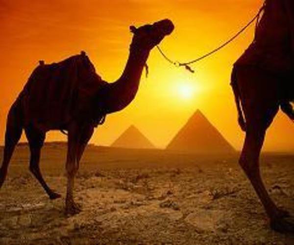 Bitcoin Nordic Brings Bitcoins to Middle East and North Africa