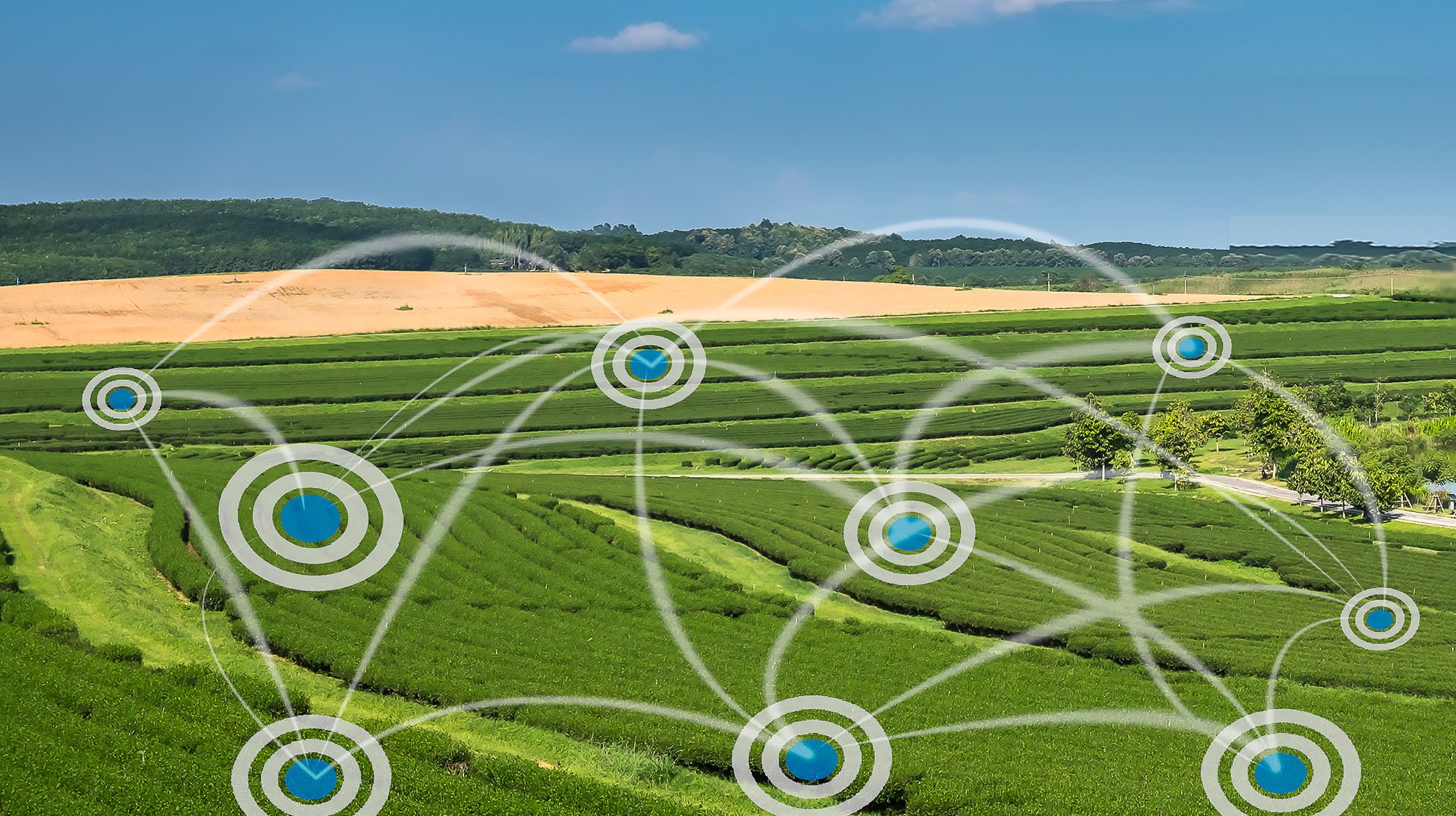 A Greener Cryptocurrency From Bittorrent Inventor, Bram Cohen