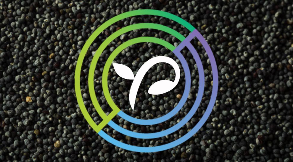 Circle Poised to Acquire Equity Crowdfunding Platform SeedInvest