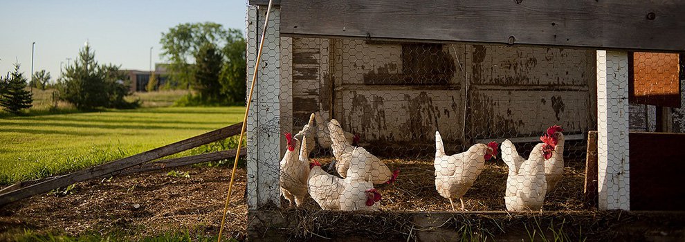 Closing the Loop: Australian Organic Farm Creates a Local Bitcoin Economy Among Farmers