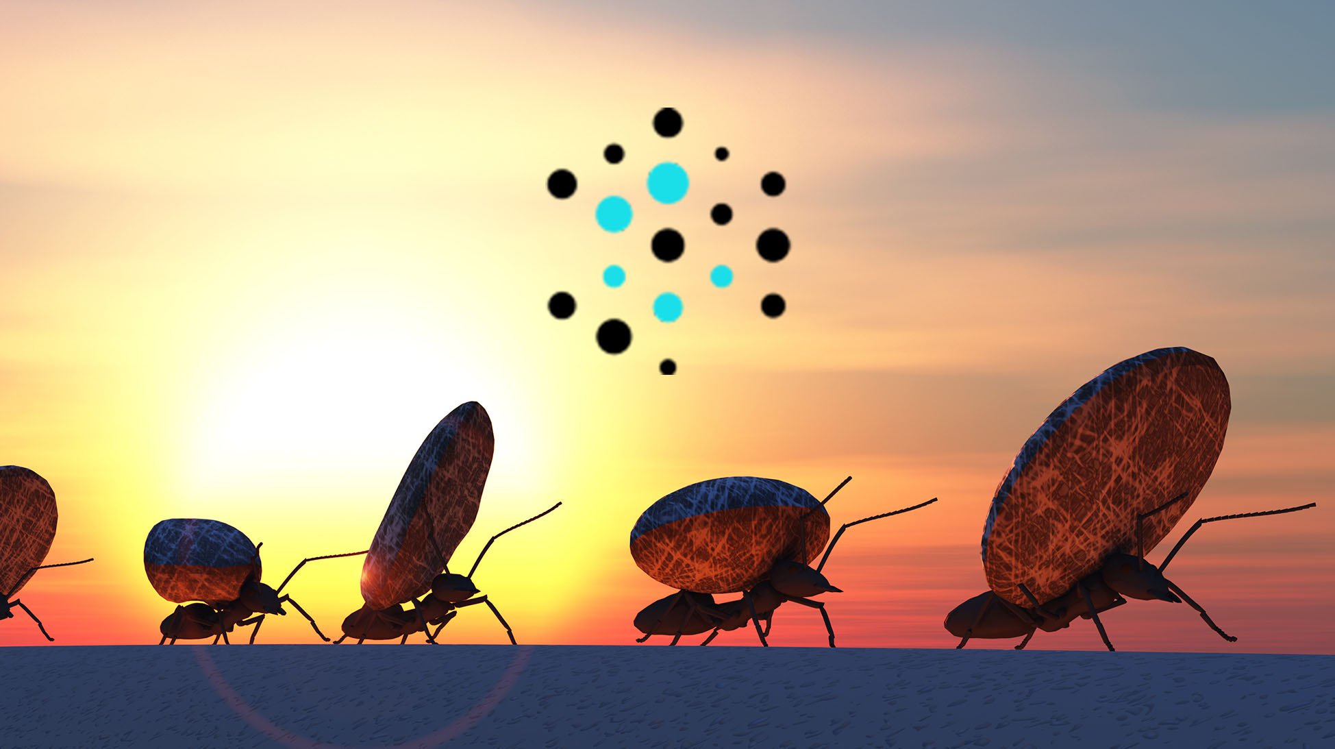 Colony Moves Organizations, Companies onto the Ethereum Blockchain