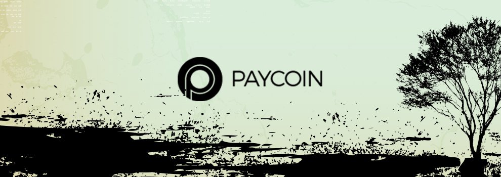 The Death of Paycoin: Employee Video Reveals Internal Chaos
