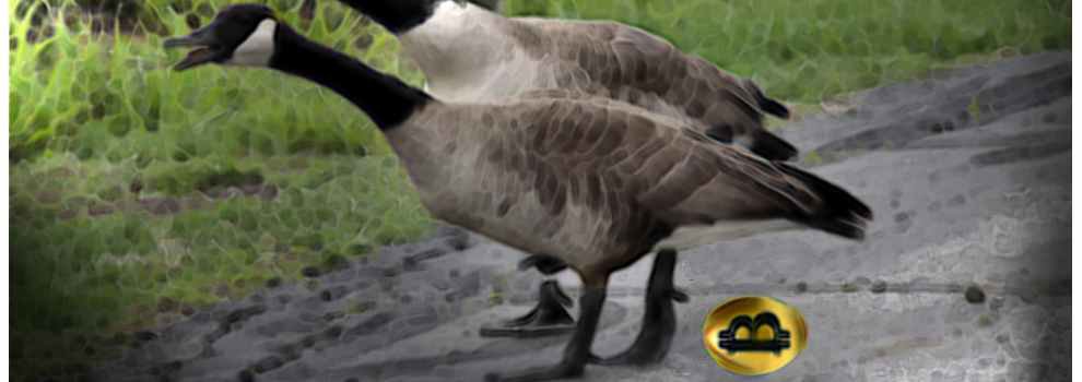 Don’t Strangle the Bitcoin Golden Goose: Spend Them