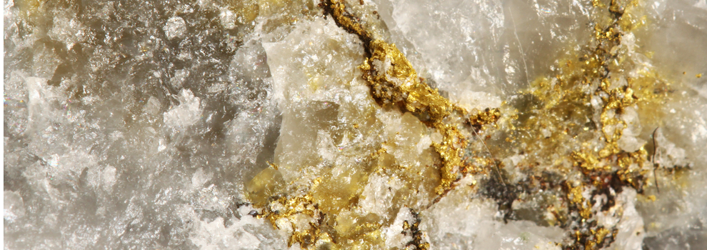 Euro Pacific Precious Metals Embraces Bitcoin