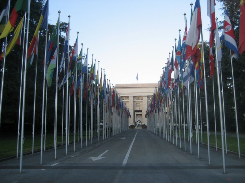 Fincen Offices