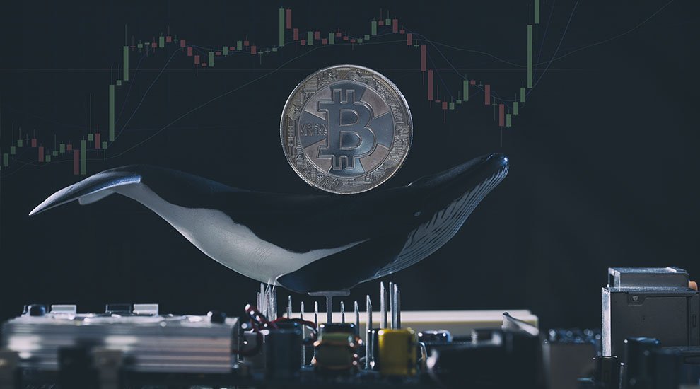 Mt. Gox Trustee Confirms He Sold off $230 Million in Cryptocurrency