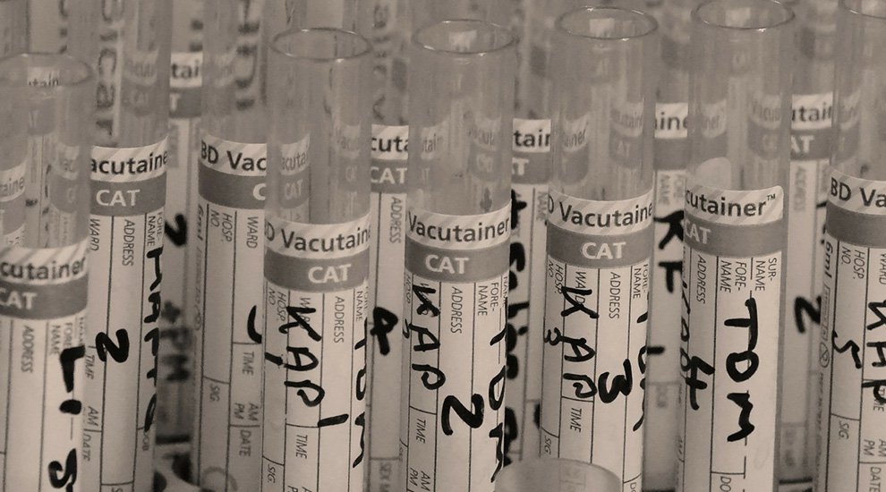 Healthcare: Can the Blockchain Optimize and Secure It?