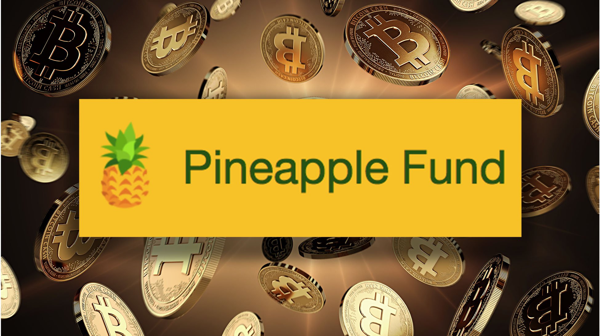 Meet "Pine," the Bitcoin Philanthropist Who Set Up the $85 Million Pineapple Fund
