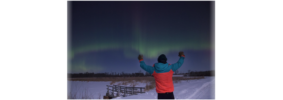Scrutinizing Auroracoin