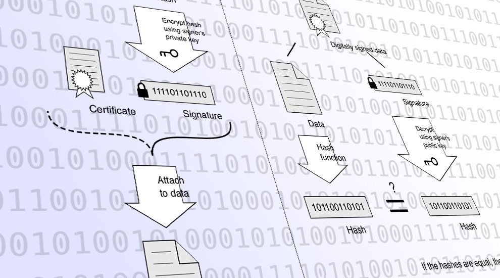 Seven Questions to Make Sense of Craig Wright's Signature Proofs