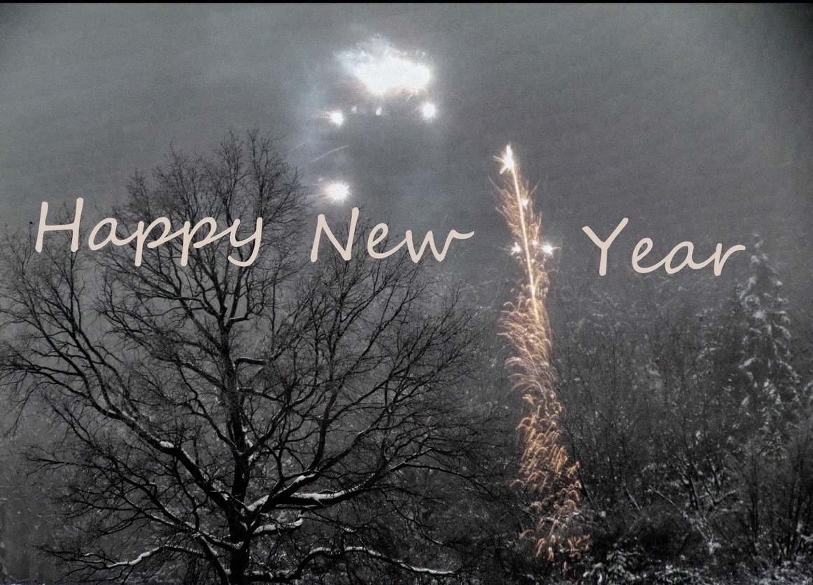 The Next Year in Bitcoin: What 2013 Has in Store
