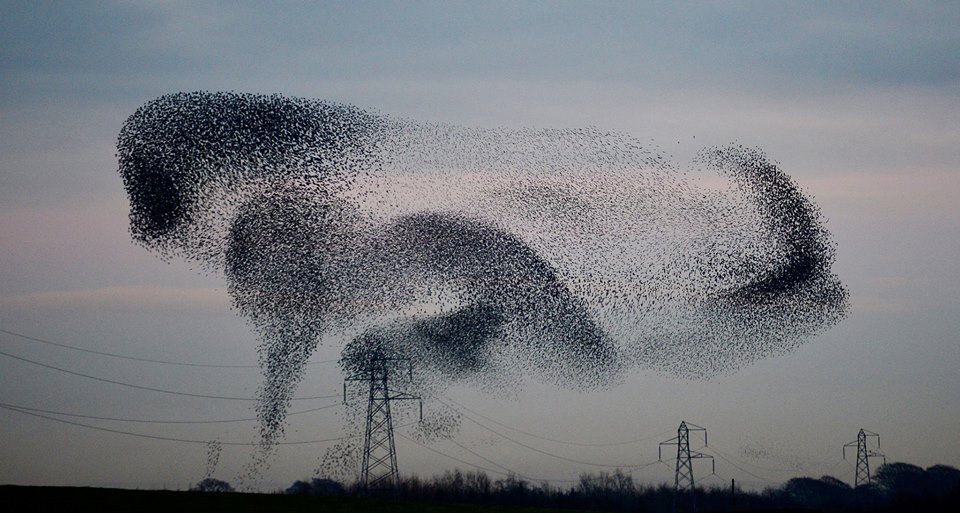 The Uber of Venture Capital: An Interview with Swarm Founder Joel Dietz