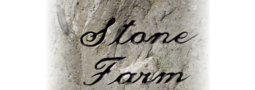 A Visit to Stone Farm, Fitzwilliam, NH